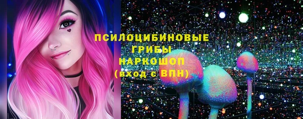 гашик Коряжма