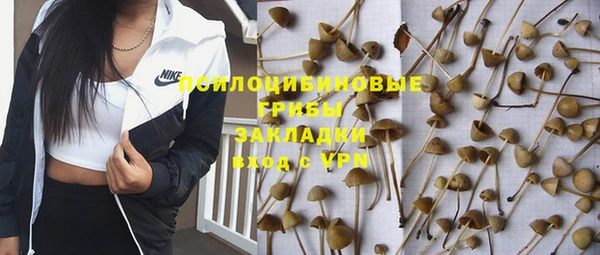 mdpv Краснослободск