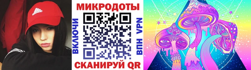 где купить наркоту  Лобня  Галлюциногенные грибы Psilocybe 