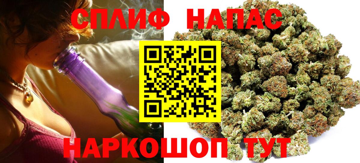Каннабис индика Лобня